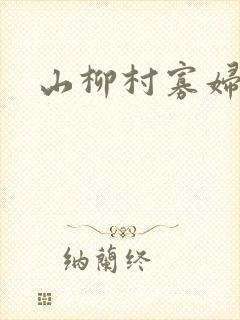 山柳村寡妇情史