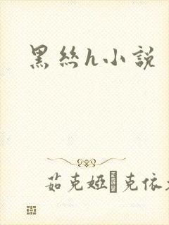 黑丝h小说