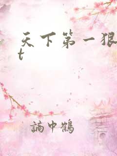 天下第一狠txt