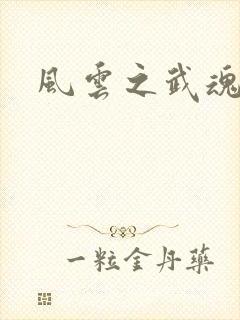 风云之武魂