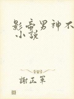 影帝男神不节制 小说