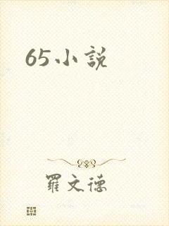 65小说