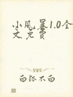 小风暴1.0全文免费