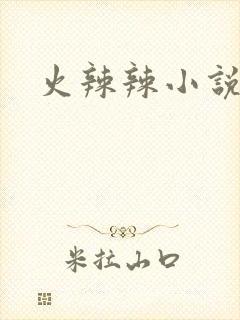 火辣辣小说全集