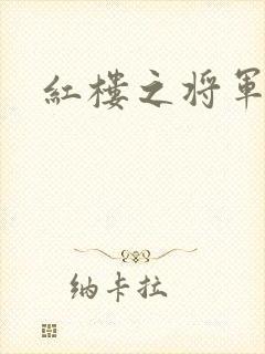 红楼之将军