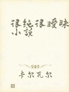 很纯很暧昧有声小说