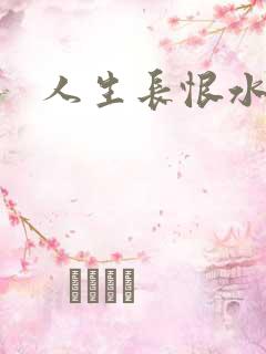 人生长恨水长东