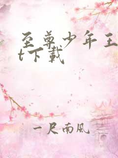 至尊少年王txt下载