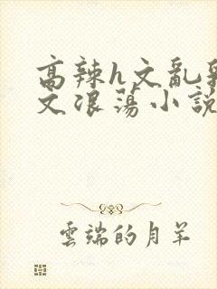 高辣h文乱乳h文浪荡小说