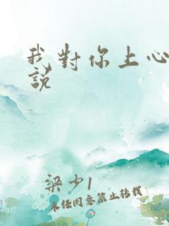 我对你上心了小说