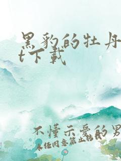 黑豹的牡丹txt下载