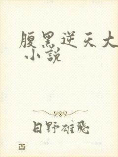 腹黑逆天大小姐 小说