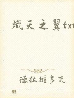 炽天之翼txt