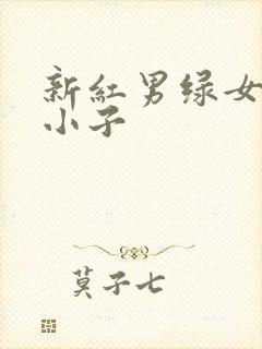 新红男绿女之坏小子