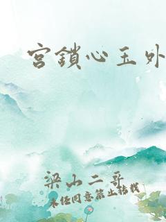 宫锁心玉外传