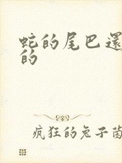 蛇的尾巴还在我的