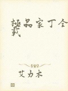 极品家丁全集下载