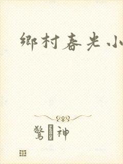 乡村春光小说