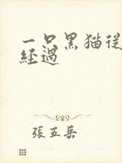 一只黑猫从眼前经过