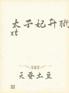 太子妃升职记txt