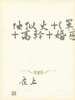 他似火+(军婚+高干+婚恋)