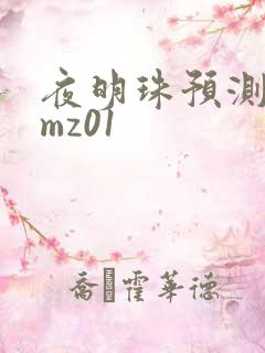 夜明珠预测 ymz01