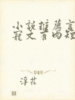 小说推荐言情甜宠文有肉短篇完结