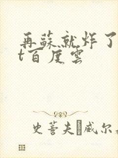 再苏就炸了txt百度云