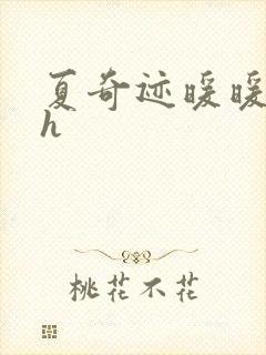 夏奇迹暖暖快穿h