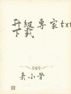 升级专家txt下载