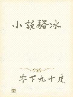 小说骆冰