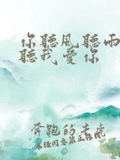 你听风听雨却不听我爱你
