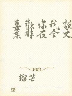 喜欢你我说了算叶非夜全文免费阅读