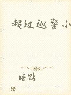 超级巡警小说