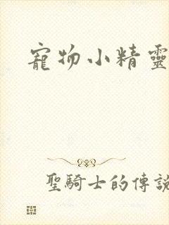 宠物小精灵之梦