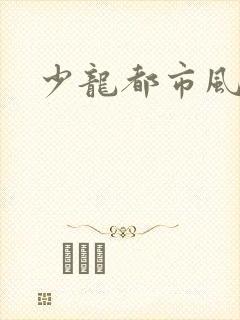 少龙都市风流行