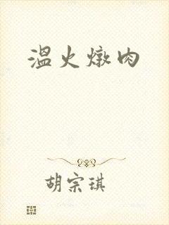 温火炖肉