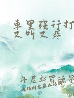 车里强行打扑克又叫又疼