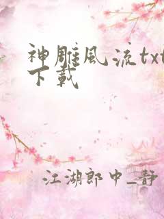 神雕风流txt下载