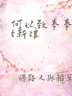 何以致拳拳txt新浪