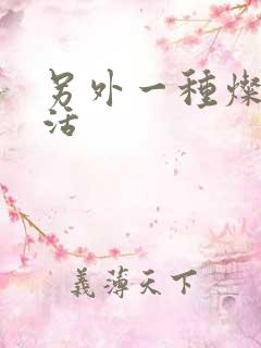 另外一种灿烂生活