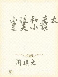 小流和老太69农夫小说