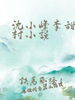 沈小峰李甜的乡村小说
