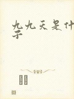 九九天是什么日子