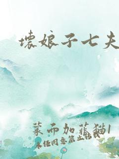 坏娘子七夫之祸