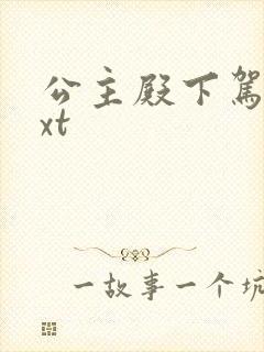 公主殿下驾到txt