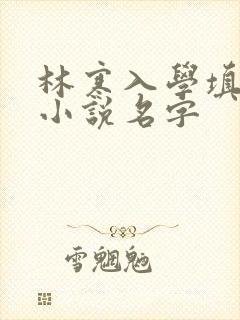 林寒入学填未婚小说名字