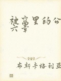 被窝里的公息十六章