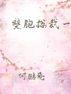 双胞总裁一个妻