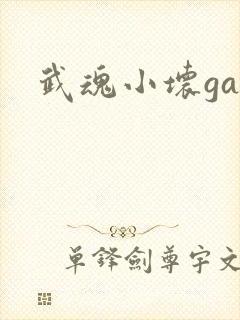 武魂小坏ga